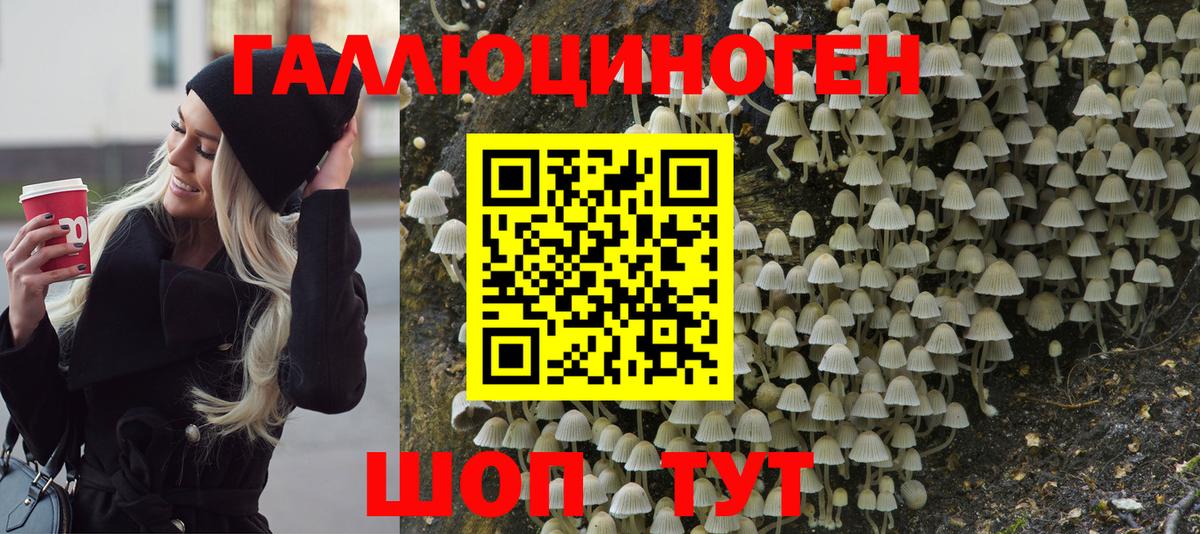 Псилоцибиновые грибы прущие грибы Красногорск